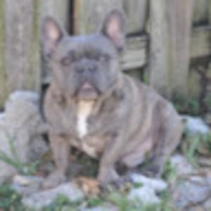 Meet your Posher, Ursula